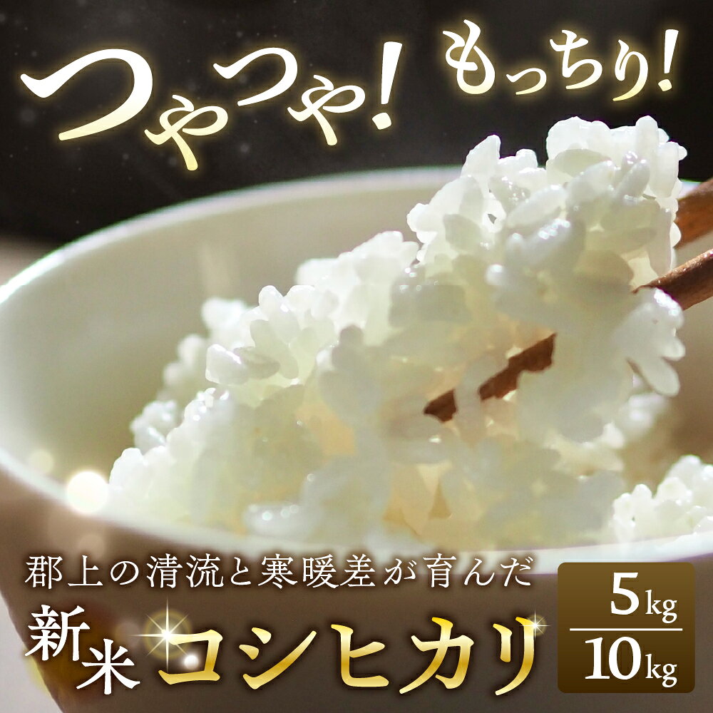 【ふるさと納税】令和7年産 こしひかり 選べる 5kg〜10kg 内容量が選べる 令和7年 美味しい ブランド米 ※ おこめ 5キロ 10キロ 米 精米 白米 コシヒカリ お米 生活必需品 日用品 白米 精米 もちもち odori-g 岐阜県 郡上市