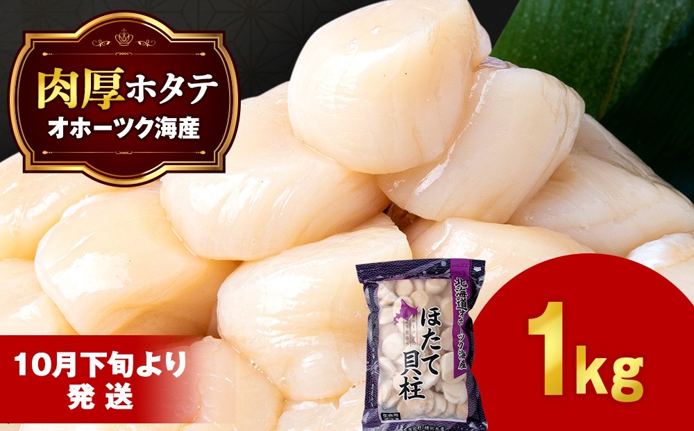 
            【10月下旬以降発送】 ほたて 貝柱 大粒 冷凍 1kg×1パック お取り寄せ 刺身 《横田水産》
          