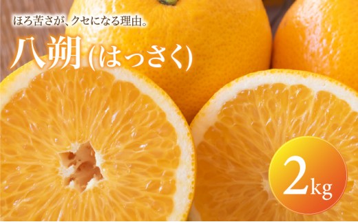 【選ぶならこれ】 大人の柑橘 【八朔】 2kg 愛媛県産【2027年2月上旬頃から順次発送】 | はっさく みかん ハッサク ミカン mikan hassaku 蜜柑 訳ありフルーツ 柑橘 果物 おすすめ お勧め お取り寄せ ギフト 愛媛県 松山市