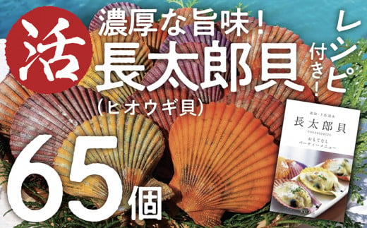 
生け簀でお届けヒオウギ貝65個セット エアポンプ付（ホタテの仲間）アウトドア キャンプ 海鮮BBQ 魚貝 刺身 生 貝殻付 活 貝柱 酒蒸し バーベキュー【R00646】
