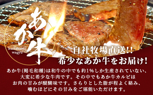 熊本和牛 あか牛 カルビ 焼肉 400g セットあか牛のタレ付き 【 熊本県産 あか牛 カルビ 焼肉 牛肉 お肉 肉 タレ付き 熊本県産 国産】046-0756