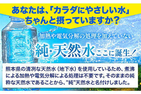 熊本イオン純天然水 ラベルレス 500ml×45本 お試し 《30日以内に出荷予定(土日祝除く)》 水 飲料水 ナチュラルミネラルウォーター 熊本県 玉名郡 玉東町 完全国産 天然水