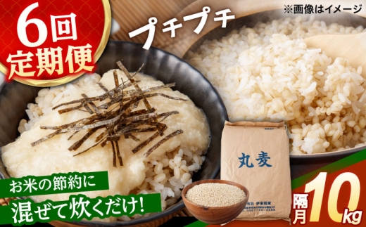 もち麦よりも『ぷりっ』とした弾力【隔月6回定期便】長崎県産 丸麦 10kg / 麦 むぎ 雑穀 雑穀米 麦ごはん 麦飯 麦みそ 食物繊維 長崎県産 米 こめ コメ ※ / 諫早市 / 有限会社伊東精麦 [AHBU007]