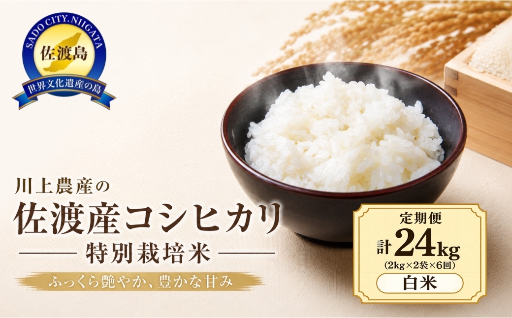 
                  【6か月定期便 コシヒカリ】令和7年産 佐渡産コシヒカリ 合計24kg（2kg×2袋×全6回）川上農産 | 新潟県産コシヒカリ 新潟産コシヒカリ 佐渡島産コシヒカリ 新潟県産こしひかり 佐渡産こしひかり お米 米 こしひかり 白米 精米 おこめ コメ 2キロ 定期便 にいがた さど 新潟県 佐渡市
                