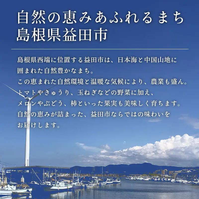 B-860 旬の野菜おまかせセット(引退競走馬の飼育寄付付き)
