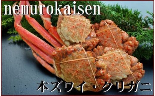 A-57031 【12月22日決済分まで年内配送】 ズワイガニとクリガニの食べ比べセット