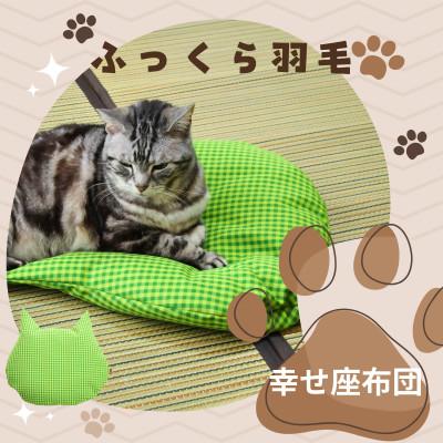 ふるさと納税 入間市 猫の幸せ座布団【グリーンチェック】