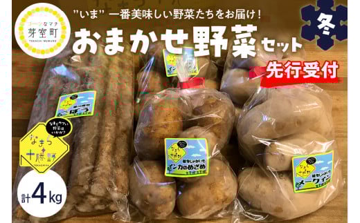 【先行受付】【2026年2月より順次発送】北海道十勝芽室町 季節のおまかせ野菜セット（冬） me001-015c