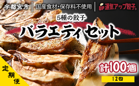 『定期便』宇都宮餃子 運気アップ餃子 5種類味比べ(合計100個)　保存料不使用　全12回【配送不可地域：離島】