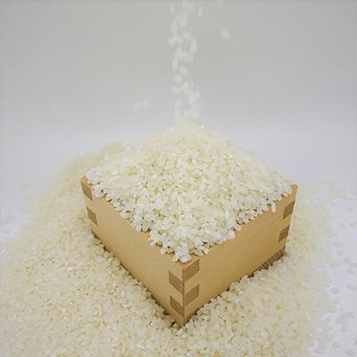 ふるさと納税 那賀町 那賀町相生産のお米「あきさかり」白米10kg |  | 01