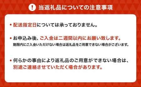  訳あり 不知火 恋する不知火 約10kg 【2026年4月上旬から2026年6月下旬発送予定】 御舩果樹園 