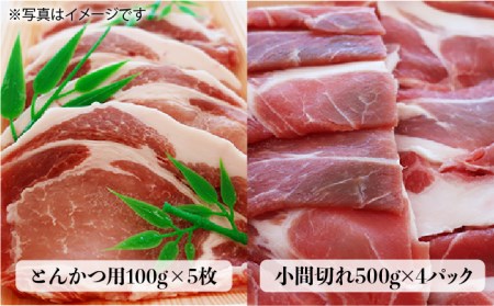 合計4.6kg！糸島豚食べ尽くしセット（とんかつ、肩ロース、しゃぶしゃぶ、豚バラ、スペアリブ、小間切れ） トラヤミートセンター 《糸島》[AJD005] 国産 豚肉 とんかつ 肩ロース しゃぶしゃぶ 