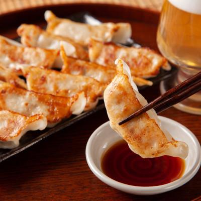 ふるさと納税 宇都宮市 宇都宮の餃子　食べ比べセットD |  | 01