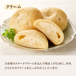 ひやしクリームパン・宇治抹茶クリームパンセット 国産小麦 カスタードクリーム ホイップクリーム 抹茶クリーム 宇治抹茶 宇治ちゃーみんぐ 冷やして食べるパン 冷凍パン パンセット  061-04