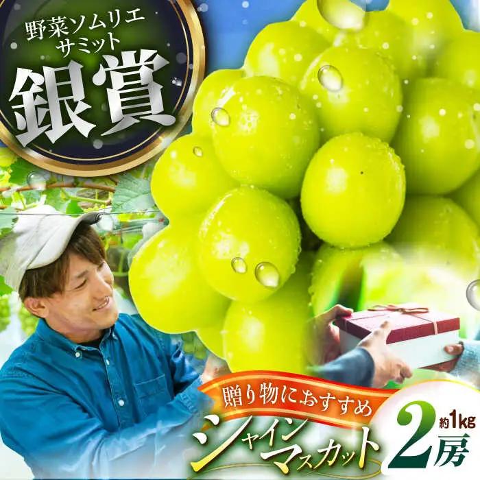 【2026年先行予約】【50個限定】【贈答用】シャインマスカット 2房（約1kg） [AIAB001] 