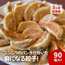 【ふるさと納税】餃子 【3ヵ月定期】中華大新自慢の餃子（90個） ぎょうざ ギョーザ 中華 おかず おつまみ 総菜 弁当 お取り寄せ 冷凍 真空包装 国産野菜 藤沢　定期便・藤沢市