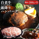 【ふるさと納税】道産和牛ハンバーグ（200g）5個入り 【ふるさと納税 人気 おすすめ ランキング 北海道産 和牛 ハンバーグ 肉 牛肉 和牛ハンバーグ 牛ハンバーグ 肉厚 デミグラス セット 大容量 詰合せ 北海道 室蘭市 送料無料】 MROA045