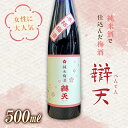 【ふるさと納税】《純米酒で仕込んだ梅酒》辯天 純米梅酒500ml F20B-640