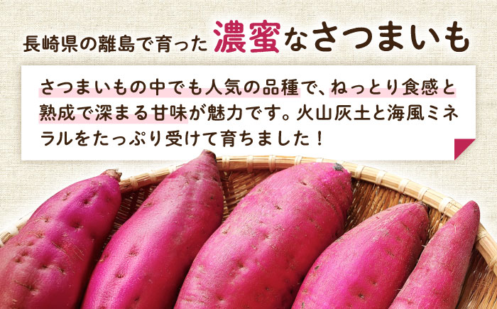 島の元気なさつまいも!ねっとり甘い『紅はるか』3kg 五島市/あわたに農園 [PGO001]
