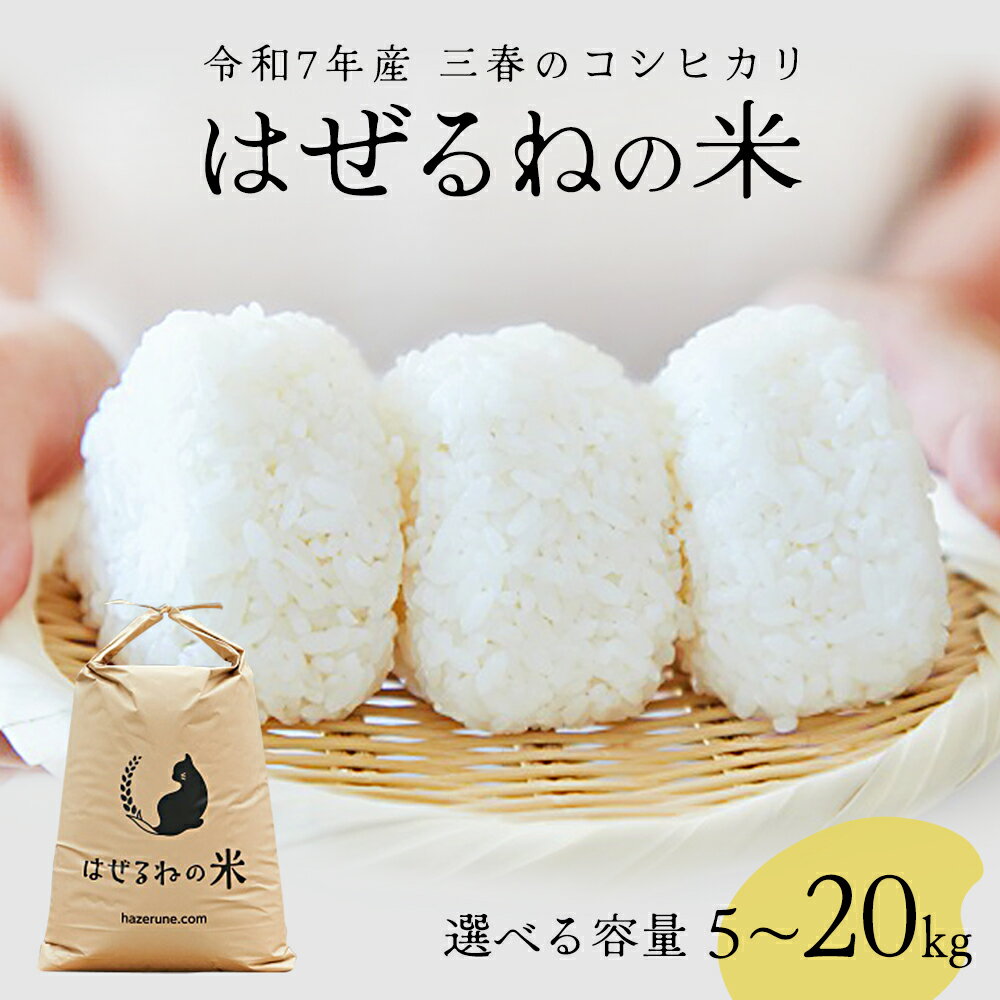 【ふるさと納税】【先行予約】令和7年度産　三春町産コシヒカリ＜はぜるねの米＞ 10kg ご飯 ごはん 米 こめ お米 弁当 白米 国産米 銘柄米 ブランド米 おにぎり 国産　【07521-0135】