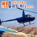 【ふるさと納税】選べる 白川郷 ヘリコプター 遊覧飛行 チケット 1～3名様 旅行券 旅行 自然 ペアチケット クルーズ クルージング 体験 記念日 プレゼント GW 夏休み 連休 紅葉 岐阜県 白川村 世界遺産 観光 観光地応援 87000円 110000円 167000円 200000円 340000円 [S806]