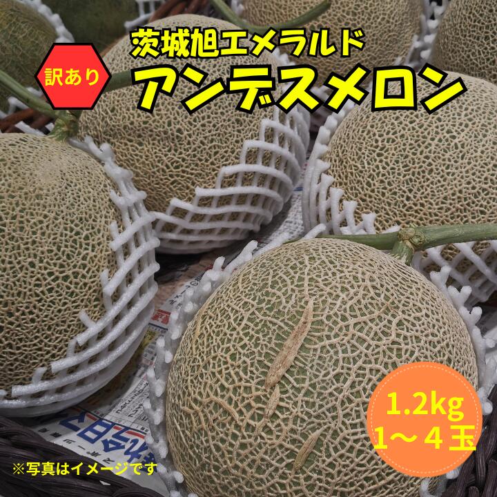 【ふるさと納税】 【訳あり】アンデスメロン 1玉（1.2kg）茨城旭エメラルド　1～4玉