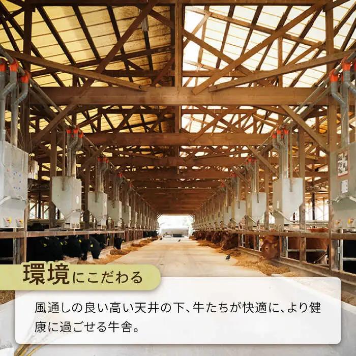 長崎県産和牛 切り落とし 1kg / 肉 牛肉 ぎゅうにく 切り落とし きりおとし 国産 和牛切り落とし 切り落とし和牛 小間切り落とし 小間切れ 冷凍 すき焼き しゃぶしゃぶ 小分け牛肉 焼き肉 焼