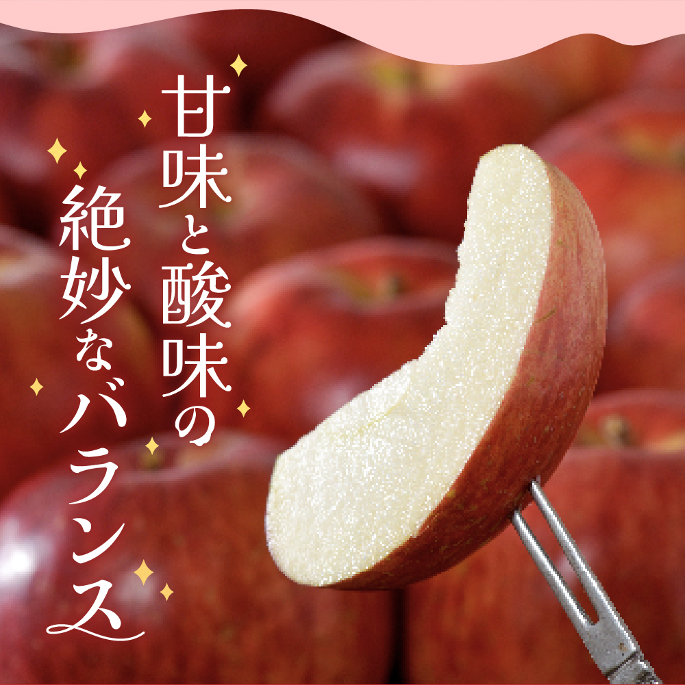 【2026年3月後半発送】 りんご 約3kg サンふじ 【ちょっと訳あり】 青森県産
