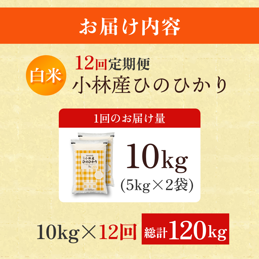 【CT019】【定期便 全12回】【令和7年産米】ヒノヒカリ 10kg×12回 お米 米 新米 ヒノヒカリ 国産 人気 お弁当 宮崎県 小林市_イメージ5