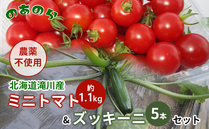 
            【栽培期間中農薬不使用】北海道滝川市産ミニトマト 約1.1kg&ズッキーニ5本セット
          