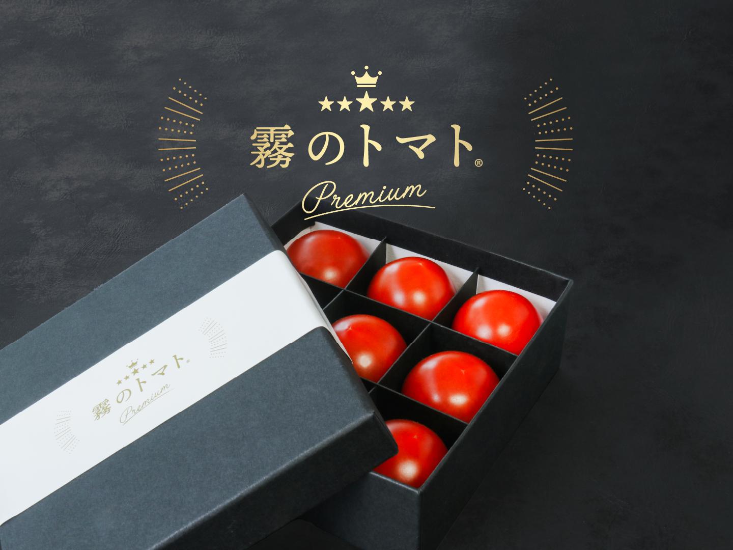 
                  【予約受付】１月以降発送【霧で育てた濃厚な味】霧のトマトPremium　150ｇ×１パック（07-55）
                