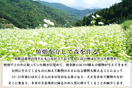 【ふるなび限定】焼畑農家がつくった3種のお餅セット(よもぎもち あずきもち とうきびもち) YS-55
