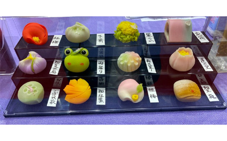 新進気鋭の三代目が造る上生菓子セット No.691