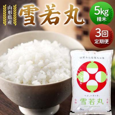 ふるさと納税 戸沢村 【定期3回】山形県産 雪若丸 5kg×3回 合計15kg F7W-0262