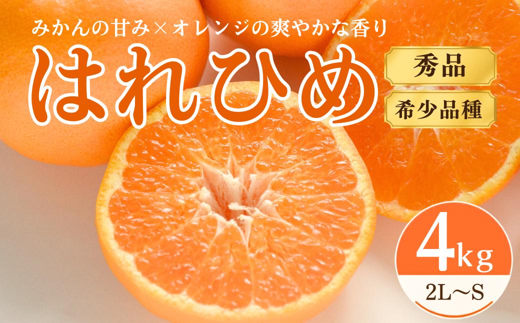 
                  【先行受付】はれひめ 4kg 秀品 2L～S みかん 愛媛みかん 愛媛ミカン 愛媛県産 愛媛 柑橘 柑橘類 みかん ミカン 蜜柑 果物 フルーツ 国産フルーツ 国産果物 旬の果物 産地直送 お取り寄せ 愛媛県 上島町
                