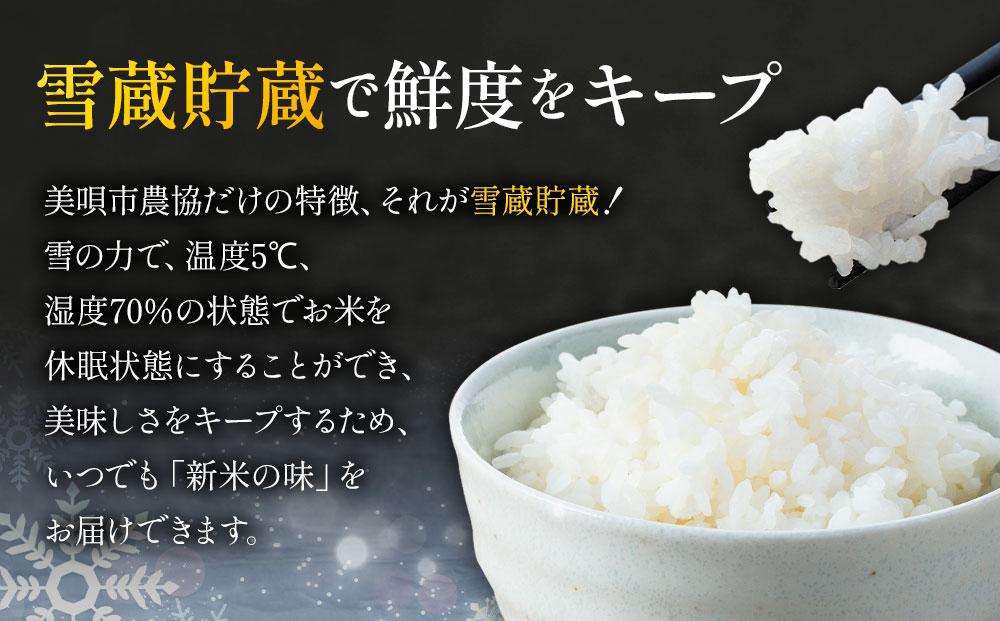 ななつぼし 5kg  特A厳選米 雪蔵工房  【令和7年産】【国産 白米 精米 お米 単一原料米 厳選 マイスター 生活応援 ななつぼし おすすめ 北海道 美唄市 美唄】