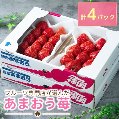 【2026年発送先行受付】酸味と甘みの絶妙なバランス・春あまおう4パック(大牟田市)【配送不可地域：離島・北海道・沖縄県】