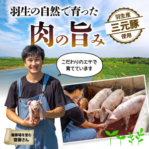高評価★4.8 御礼！ 保存料不使用 無添加 ハンバーグ 個包装 2.4kg ギフト お歳暮 大判ハンバーグ