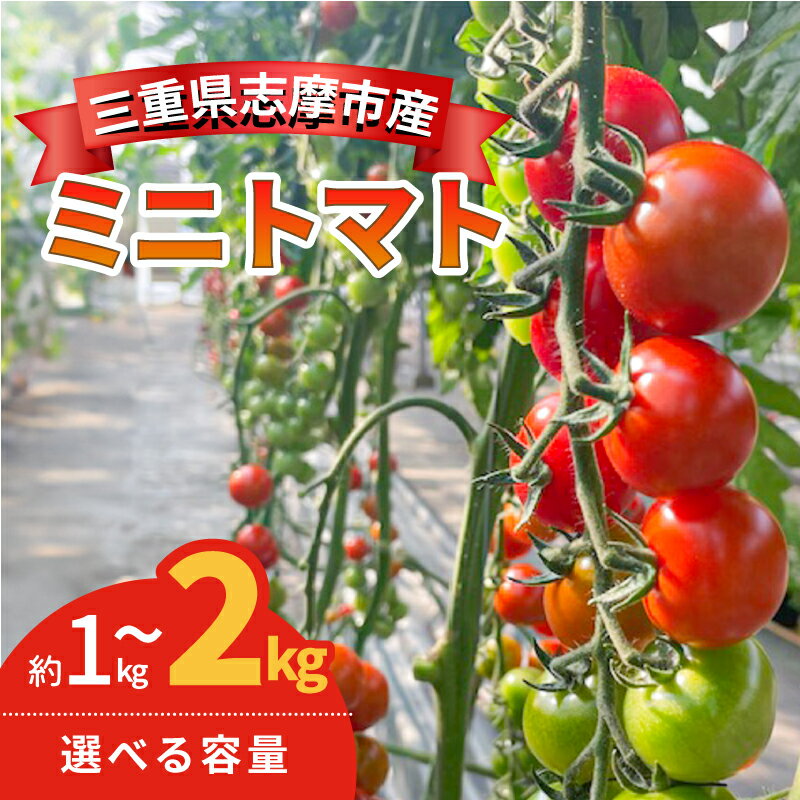 【ふるさと納税】 選べる容量 ミニトマト 1kg ~ 2kg 国産 トマト 野菜 国産 サラダ パスタ 新鮮 産地直送 三重県 伊勢 志摩市 TY千果