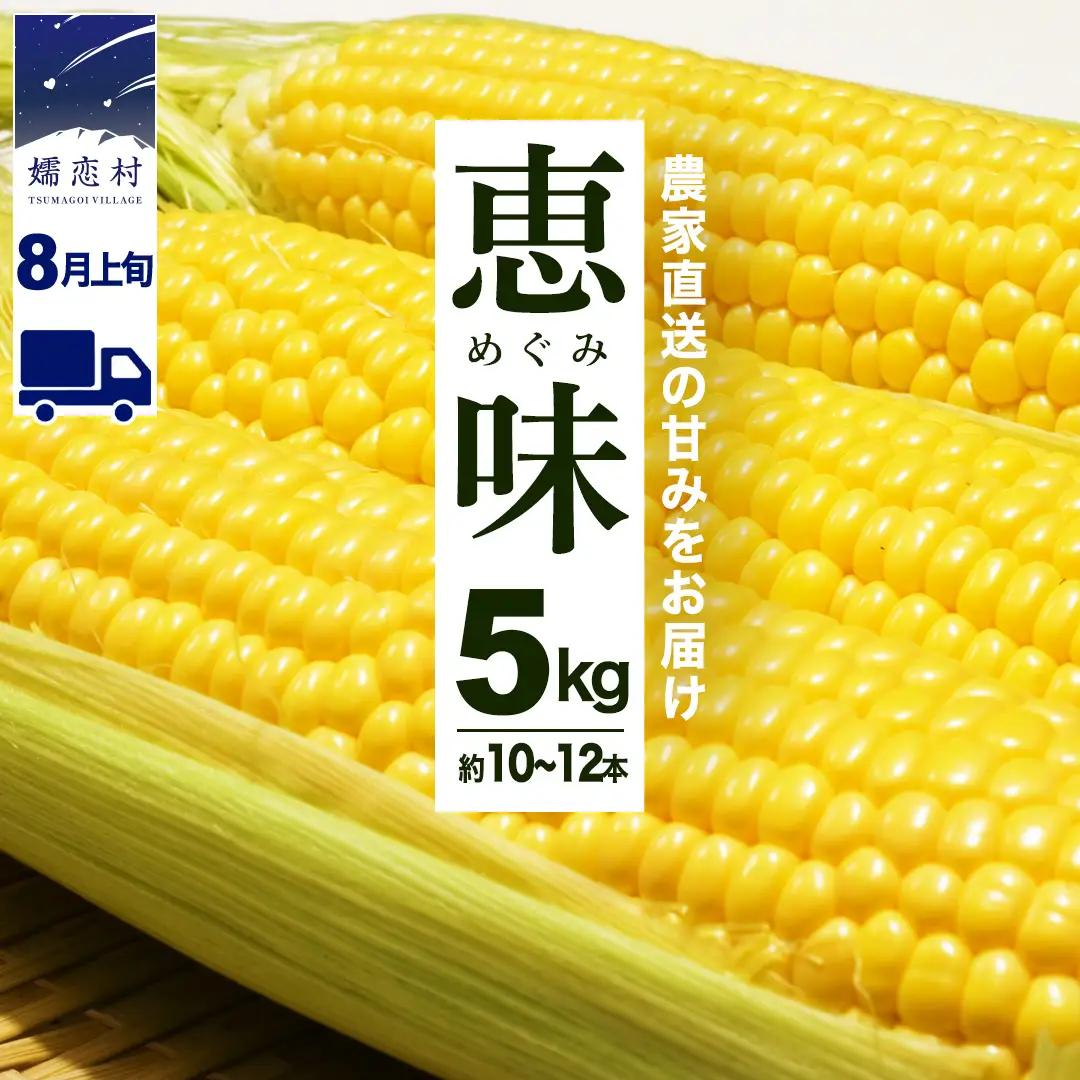 【8月上旬発送開始】 甘～いトウモロコシ 恵味 5kg 約10～12本 [AL005tu]