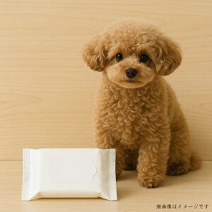 【ふるさと納税】フリフリ　ペット用純水99％使用ウェットティッシュ（80枚3個パック）×12個