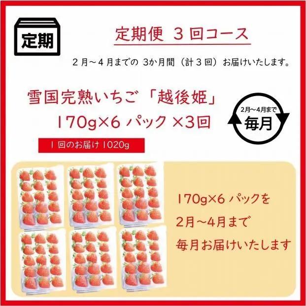 【先行予約 定期便3回】越後姫 いちご 雪国完熟 2〜4月 170g×6回 いちご