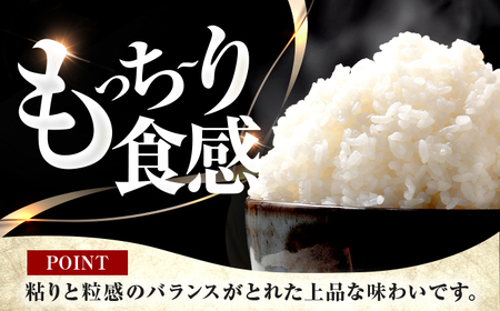 【新米】 福井県産 コシヒカリ 精米 (白米) 10kg 一等級　福井県米 /甘みと粘りが際立つ 王道米 こしひかり 小浜市 / 若狭ふれあい市場[BFEL018]