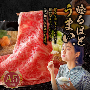 S001-020-T06B_【定期便6回】黒毛和牛 A5 ロース すき焼き 切り落とし 500g すき焼きのたれ 1本付 6ヵ月連続お届け