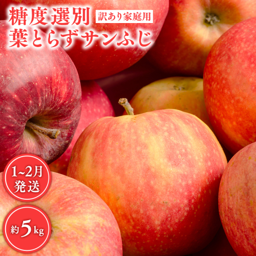 年明け 糖度選別 訳あり葉とらずサンふじ約5kg 【青森県 平川市 JA津軽みらい 1月・2月】 年明け発送 青森 青森県産 平川 りんご リンゴ 林檎 くだもの 果物 ふじ フルーツ