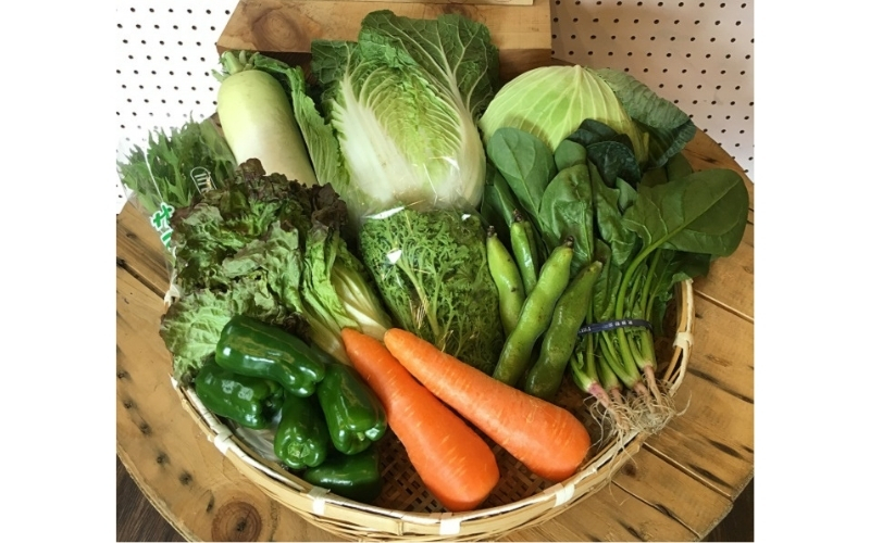 忍びの国の野菜セット（12品以上）季節毎に4回お届け【mtur-tkb0002】