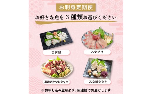 刺身 定期便 3ヶ月 お好きなお魚が選べる！ 小島水産 産地直送 3回 新鮮 かつおタタキ 真鯛 ブリ 刺身 乙女鯛 乙女ブリ 藁焼き かつお タタキ タイ 鯛 たい 鰤 鰹 かつおのたたき タタキ 