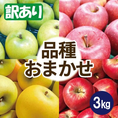 【25年10月出荷予定】りんご 品種おまかせ 約3kg 訳あり【配送不可地域：離島・沖縄県】【1612937】