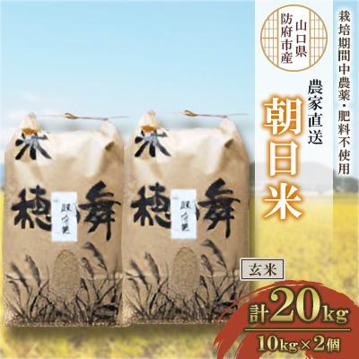 ふるさと納税 防府市 栽培期間中農薬・肥料不使用で作った朝日米　玄米20kg