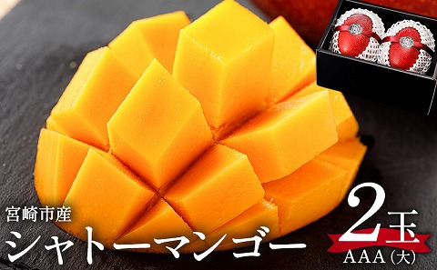《2026年発送先行予約》【数量・期間限定】シャトーマンゴー(大) AAA 2玉 宮崎マンゴー シャトーマンゴー フルーツ 果物 果実 スイーツ 完熟